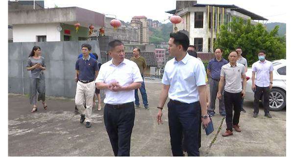 郑县长一行莅临合肥朱凯在线教育有限公司指导调研